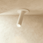 NovaGlow Modern Aluminum Ceiling Light With 60 Degree Adjustable Tilt