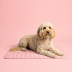 ChillDog Pressure Activated Self Cooling Pet Mat For Indoor Or Outdoor Use