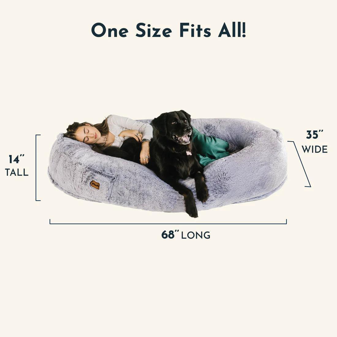 Le lit pour chien humain, une chaise longue confortable pour les humains du monde entier | Fioriscas