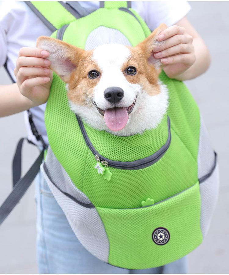 Zaino porta-cane TrailPaw, vestibilità regolabile, per cani fino a 15 kg