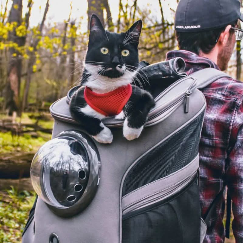 Opvouwbare reistas voor katten met panoramavenster en comfortabel ontwerp - Fioriscas