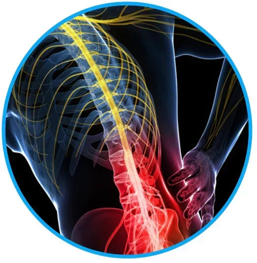 Sciatica Relief Belt for Back & Hip Pain |