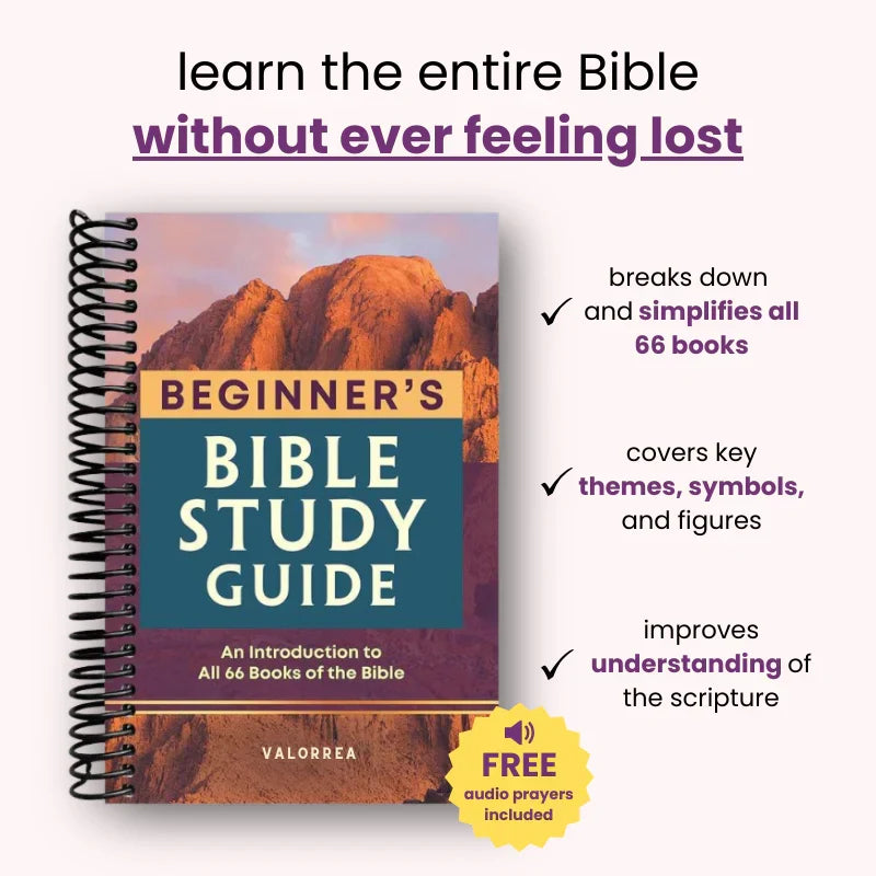 66 knih, jedna jasná cesta – průvodce studiem Bible pro začátečníky | Fioriscas