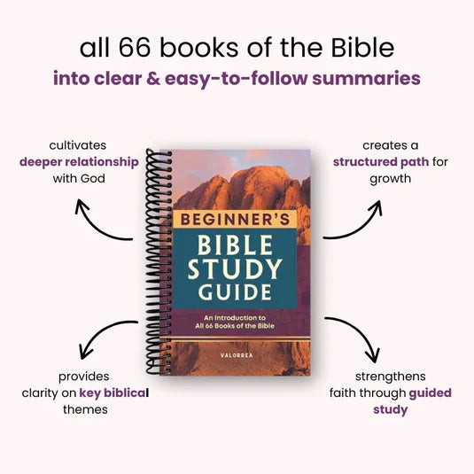 66 knih, jedna jasná cesta – průvodce studiem Bible pro začátečníky | Fioriscas