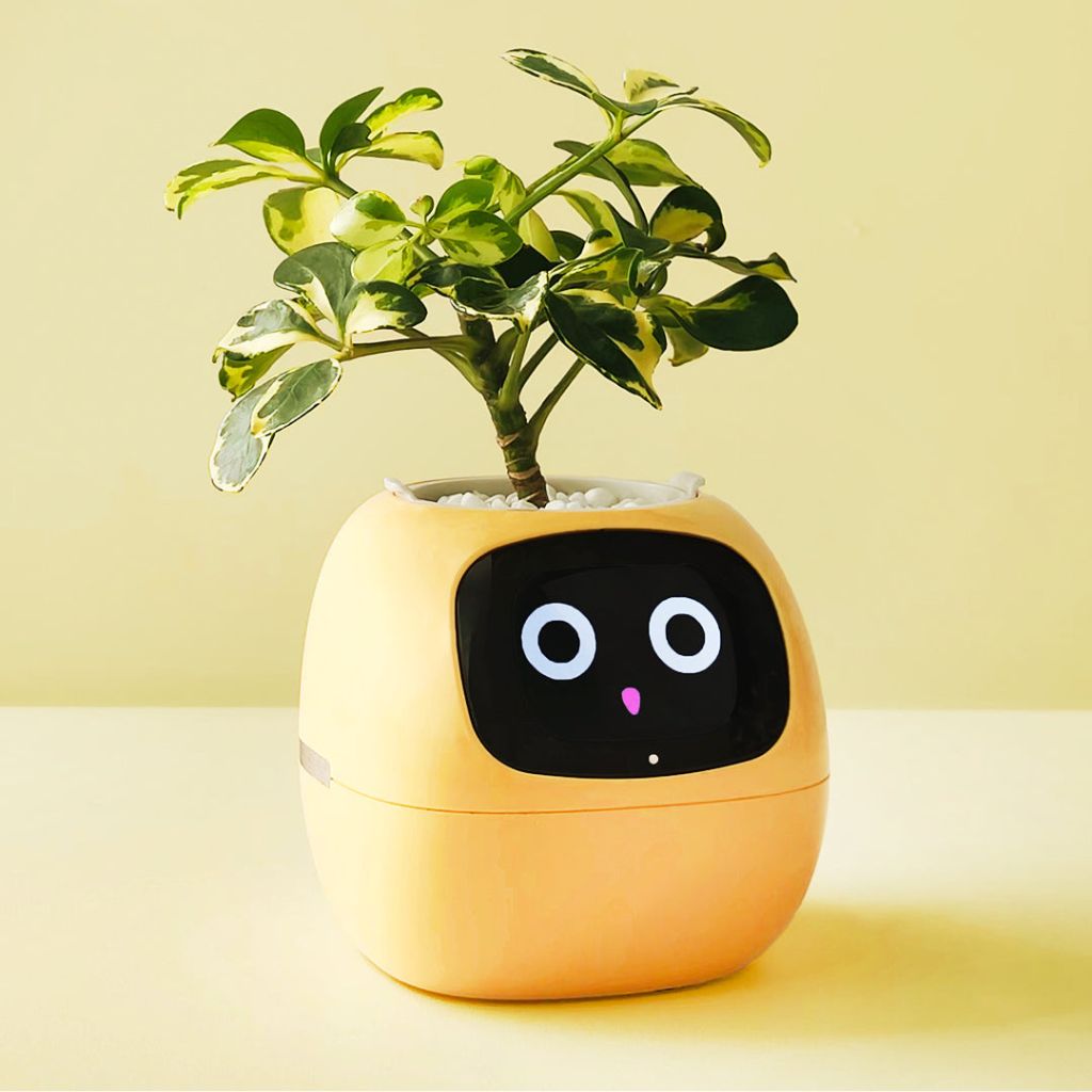 Alexa対応、ジェスチャーで作動するIvyスマート植木鉢コンパニオン | Fioriscas
