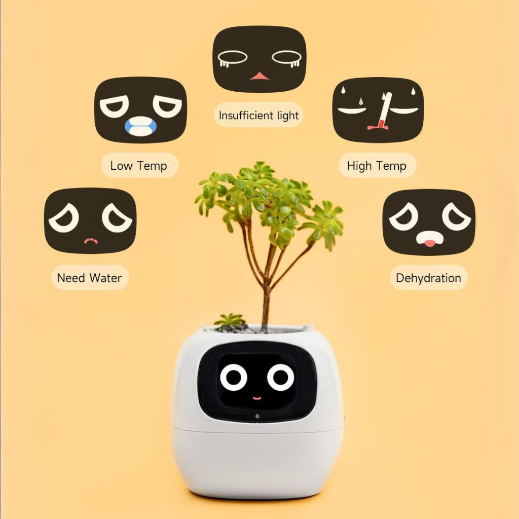 Alexa対応、ジェスチャーで作動するIvyスマート植木鉢コンパニオン | Fioriscas