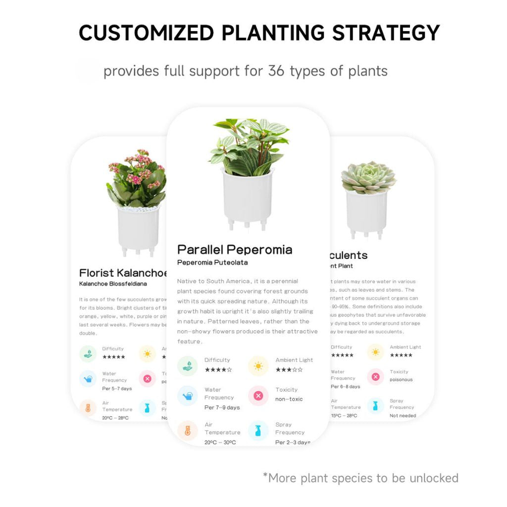 Alexa対応、ジェスチャーで作動するIvyスマート植木鉢コンパニオン | Fioriscas
