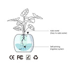 Alexa対応、ジェスチャーで作動するIvyスマート植木鉢コンパニオン | Fioriscas