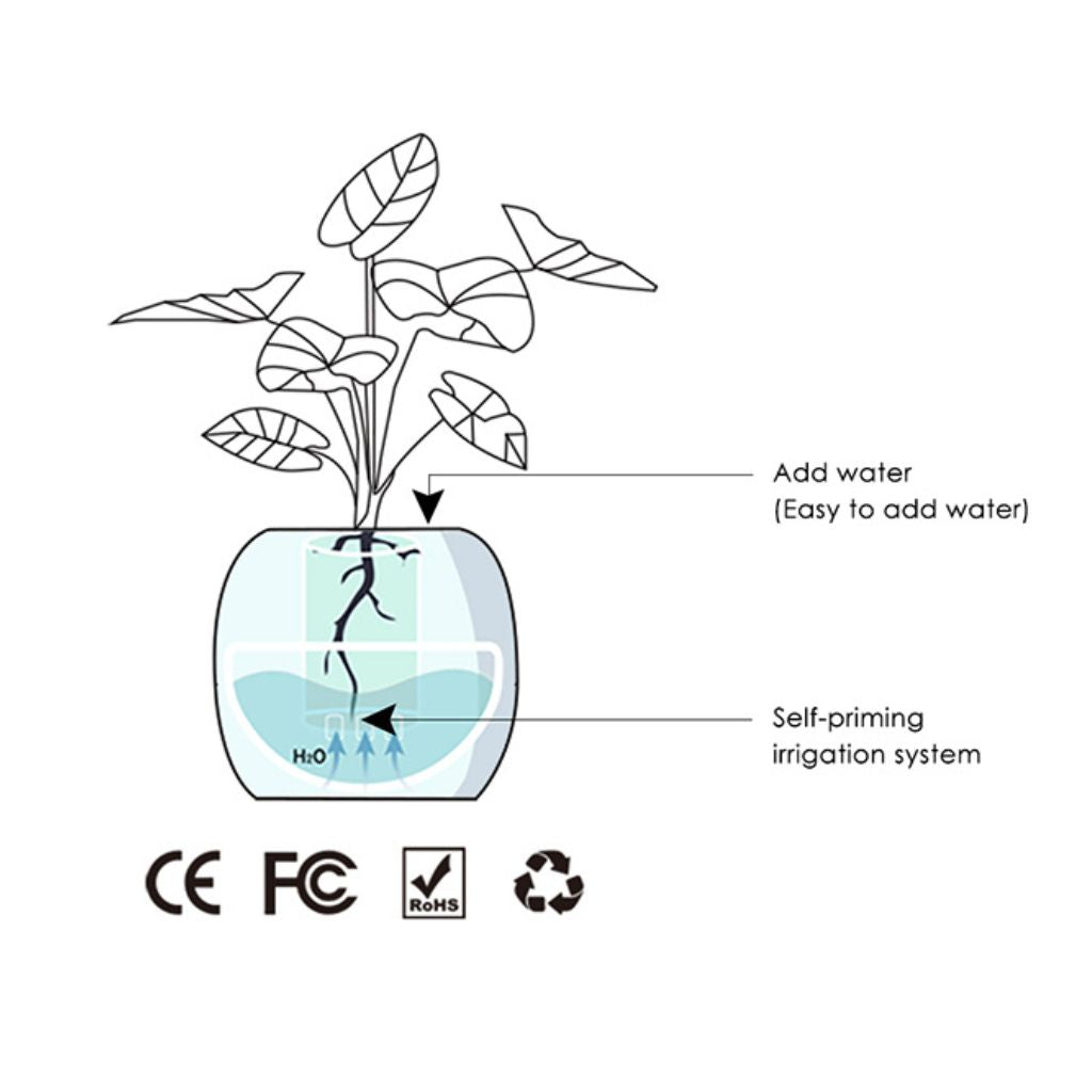 Alexa対応、ジェスチャーで作動するIvyスマート植木鉢コンパニオン | Fioriscas