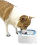 No-Spill Pet Water Dispenser With Double-Rim Bowl Design