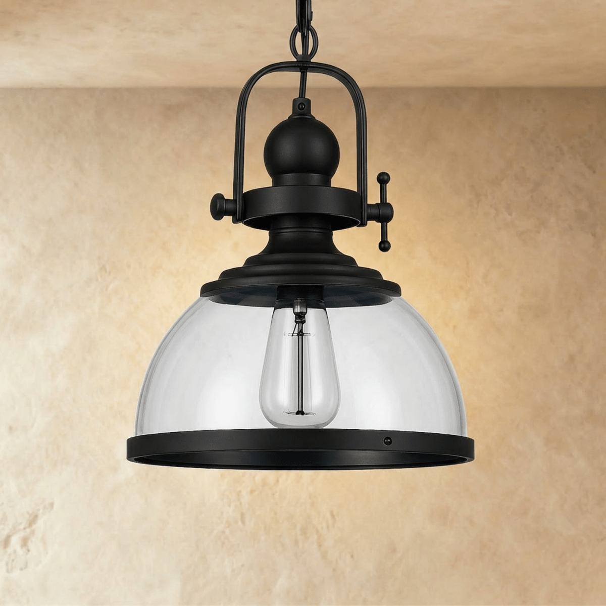 Lámpara colgante industrial vintage de metal negro con cúpula de vidrio y bombilla expuesta  