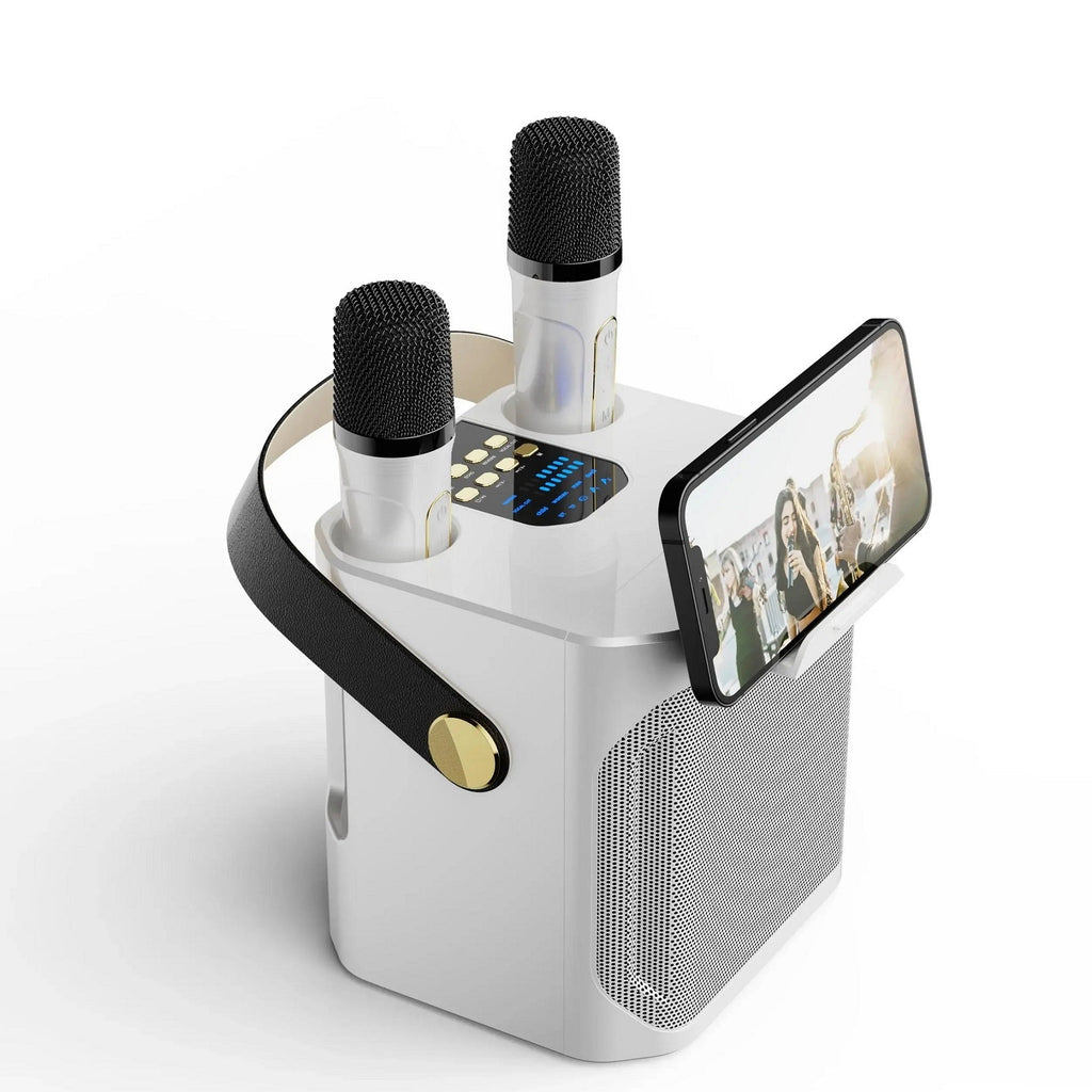 100W Portable Karaoke Machine With Bluetooth 5.3 & Dual Wireless Mics