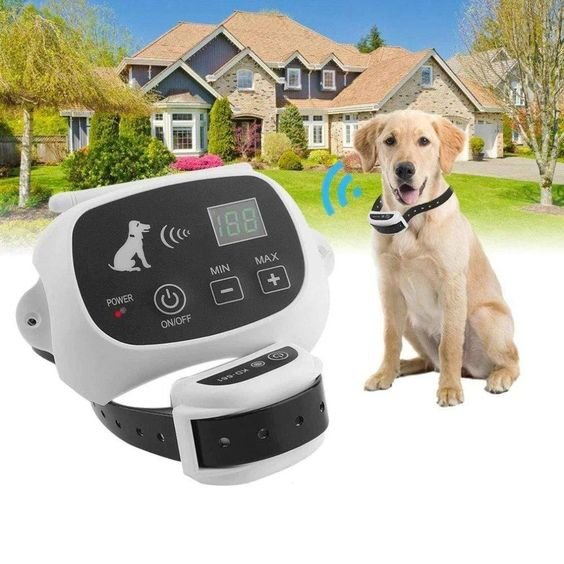 ZenGuard Pro trådløst hundehegn med vandtæt træningshalsbånd